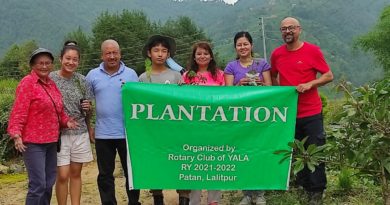 Tree Plantation in Chitlang Tree Plantation in Chitlang