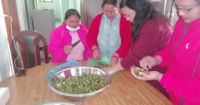 Training on Food Processing of Fruit and Vegetables