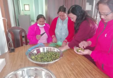 Training on Food Processing of Fruit and Vegetables