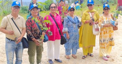 Tree Plantation at Dapcha Tree Plantation at Dapcha