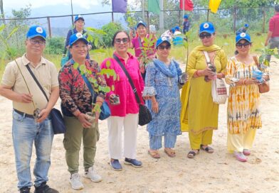 Tree Plantation at Dapcha