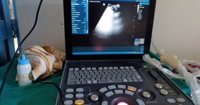 Health Camp Health Camp